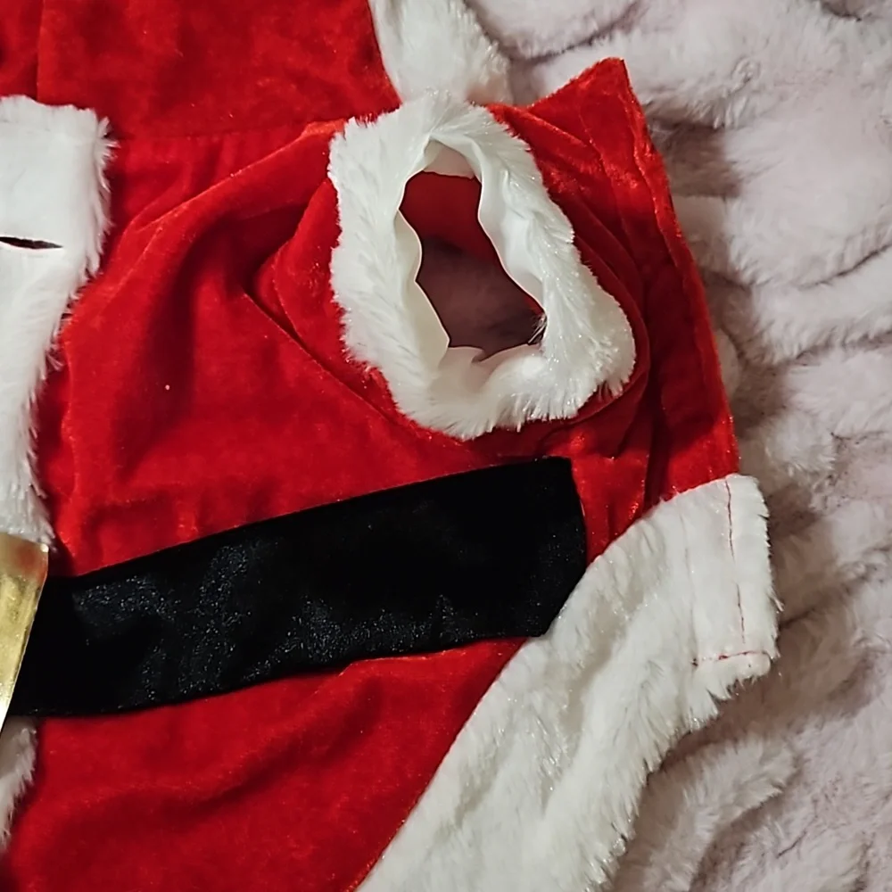 Santa Pet Outfit Size S NWOT